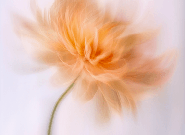 Compensation management