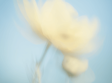 Requests & approvals